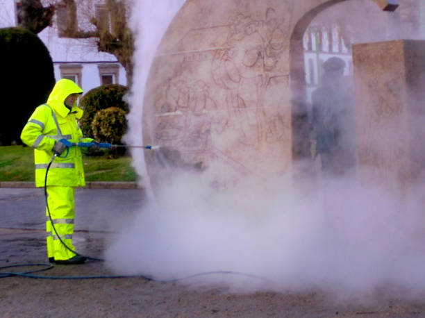 Best Roof Pressure Washing  in Downey, CA