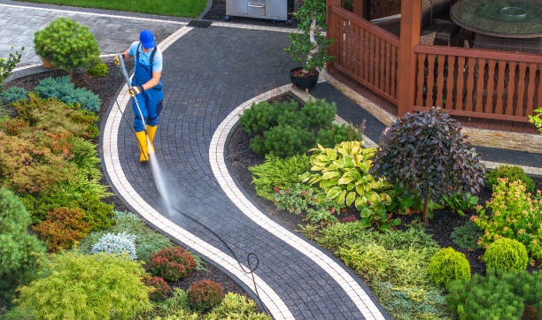 Best Affordable Power Washing  in Downey, CA